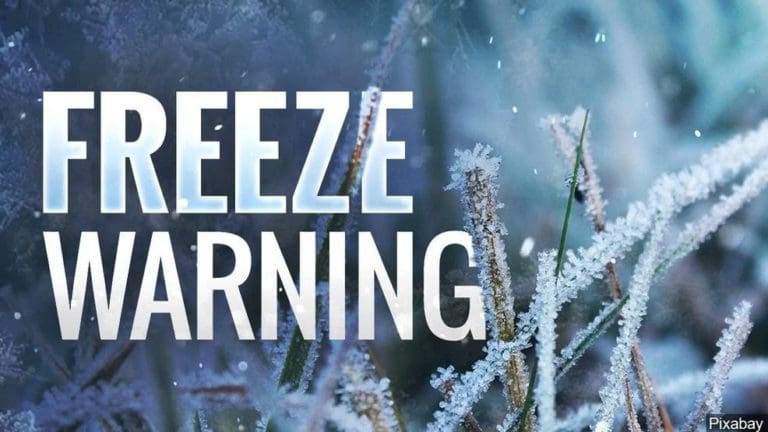 freezewarning