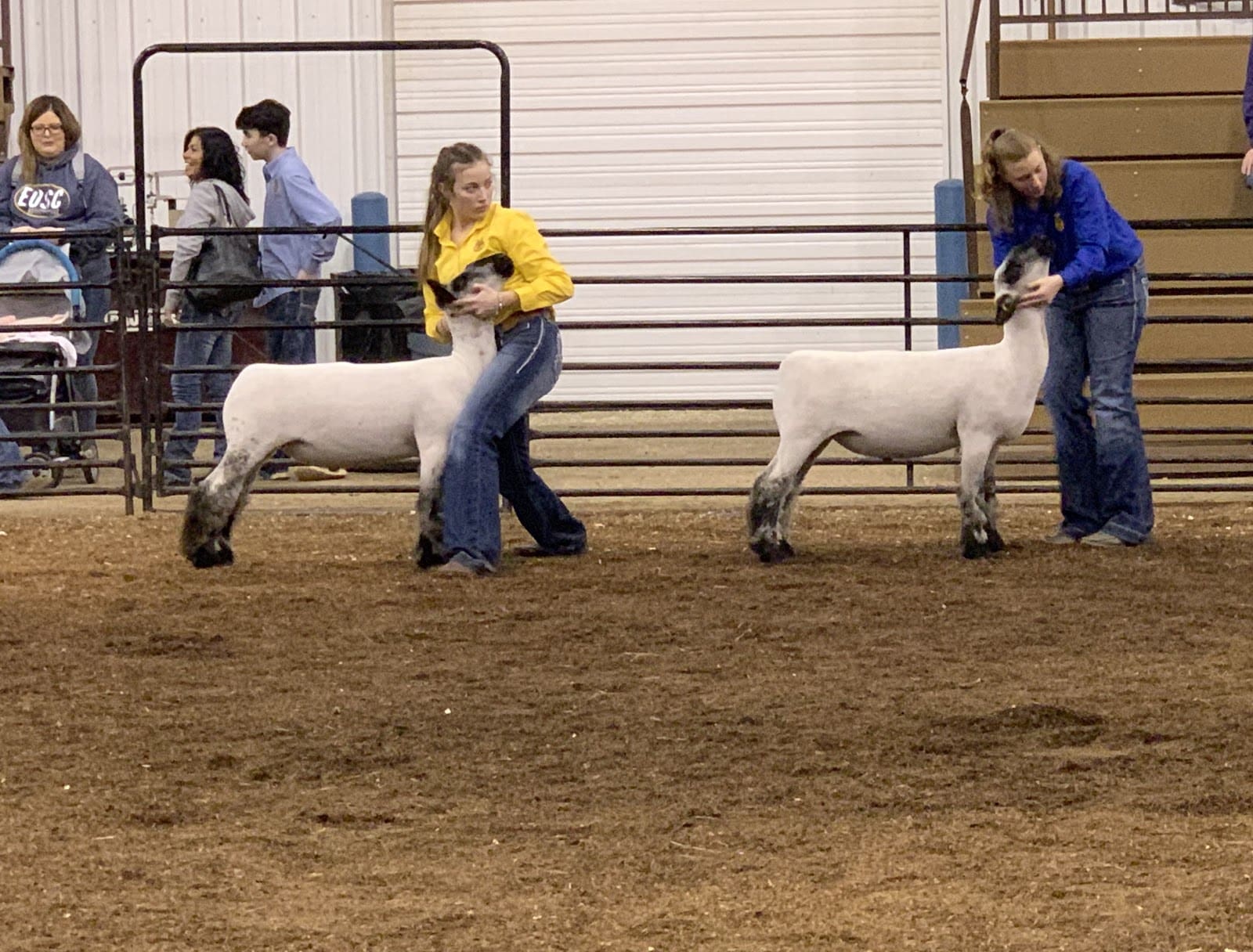 FFA SHOWS WELL AT KINGFISHER COUNTY LIVESTOCK SHOW
