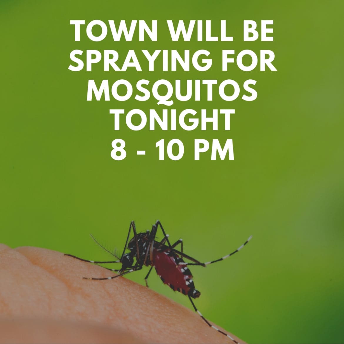 TOWN WILL BE SPRAYING FOR MOSQUITOS