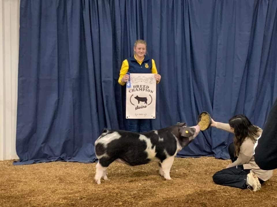 Spring County Stock Show Results