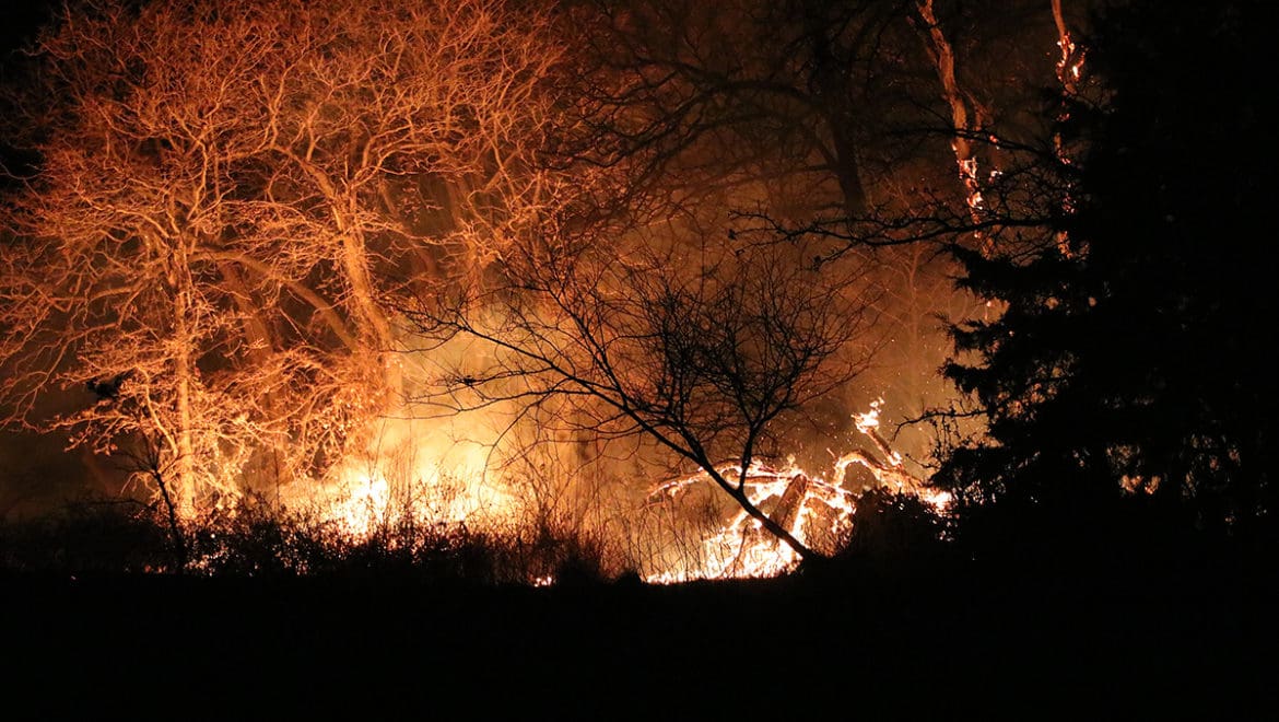 Night Brush Fire