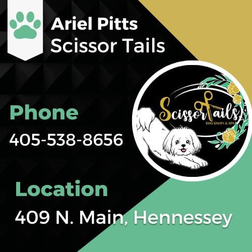 Scissortails Dog Salon & Spa