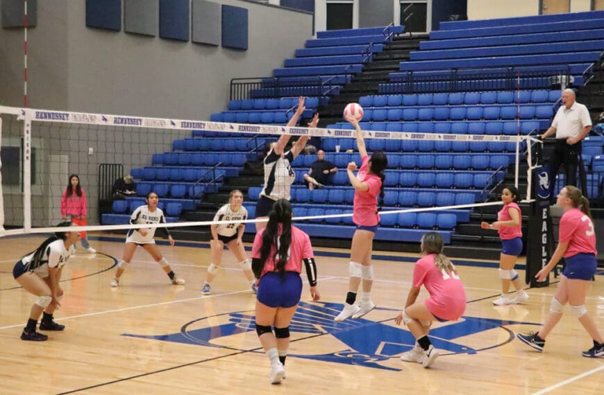 VOLLEYBALL PINK OUT!