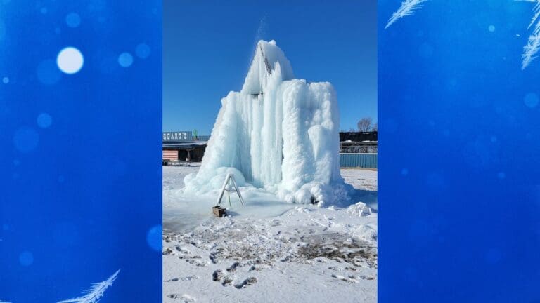 ice sculpture