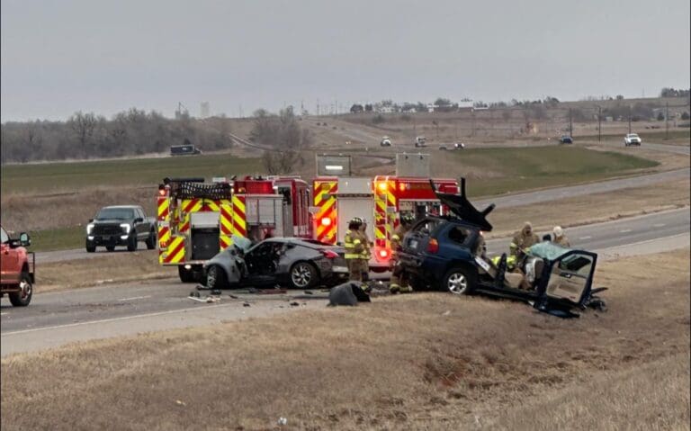 Bison Wreck