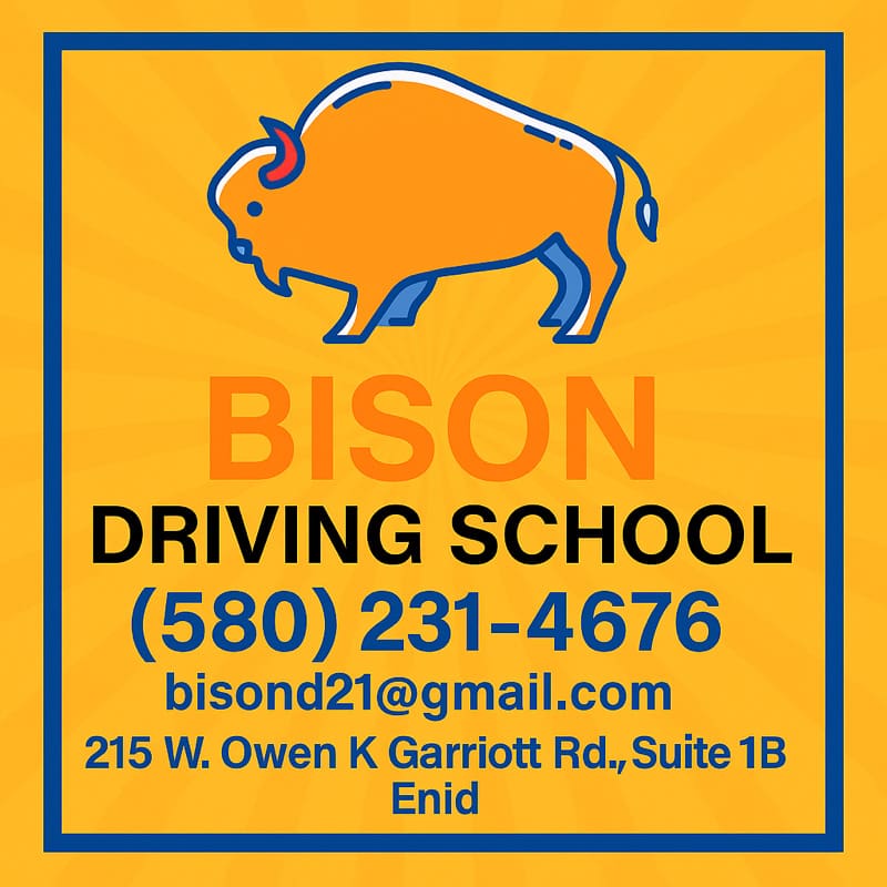 bisondriving