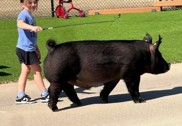 656364509_1532535802215767_614974076365666984_n