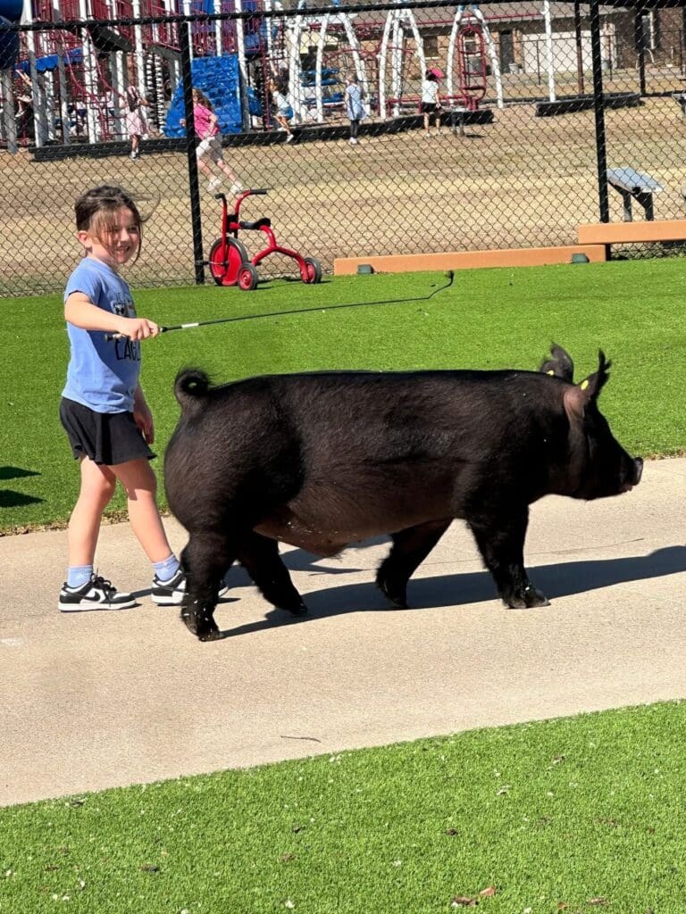 656364509_1532535802215767_614974076365666984_n